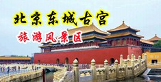 性感小穴被操视频中国北京-东城古宫旅游风景区